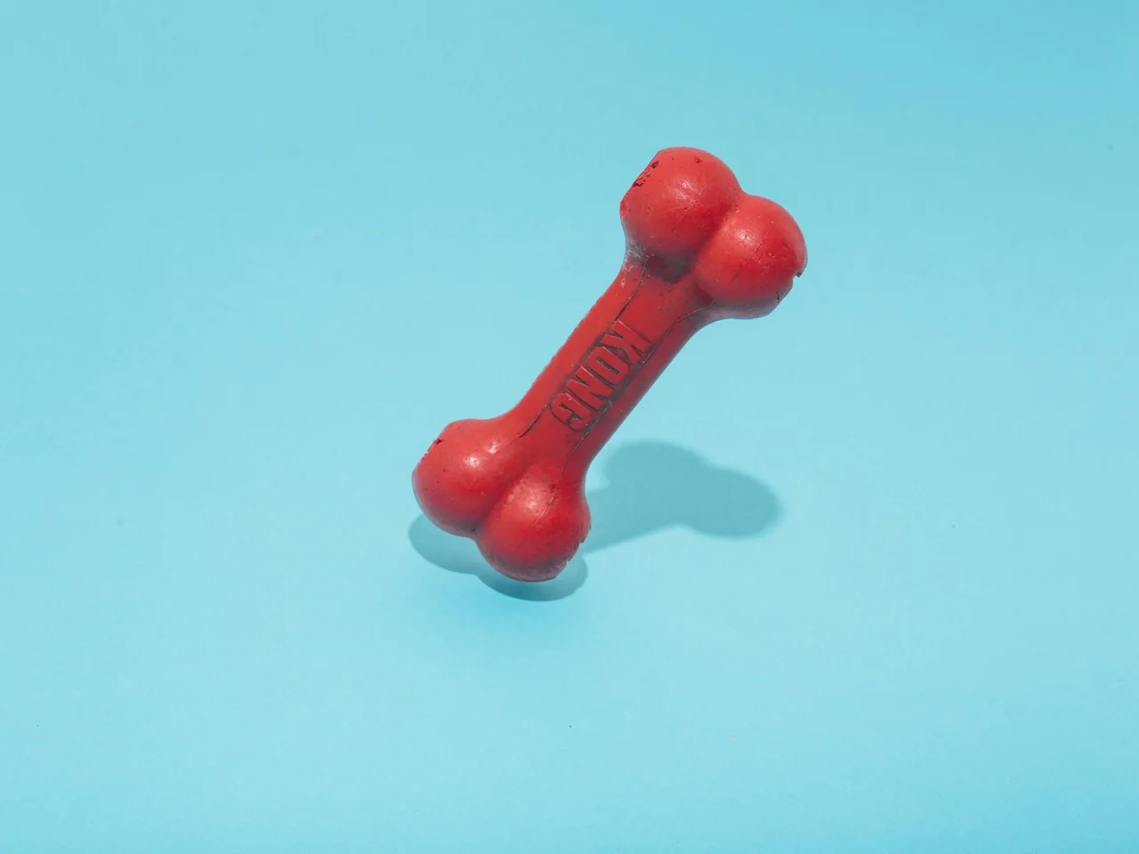 Red bone-shaped dog toy on a blue background.