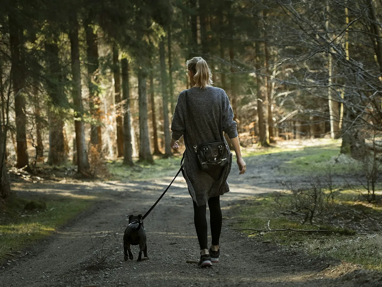 woman in black jacket walking with black labrador retriever on pathway during daytime